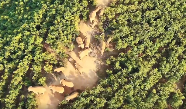 实际举动为生态维护贡献力量足见魔域玩家对公益事业的热心与责任感 实际举动为生态维护贡献力量足见魔域玩家对公益事业的热心与责任感