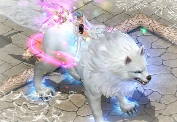 镜头中透露了许多让人忍俊不禁的信息这款由魔域出品的狗粮 镜头中透露了许多让人忍俊不禁的信息这款由魔域出品的狗粮